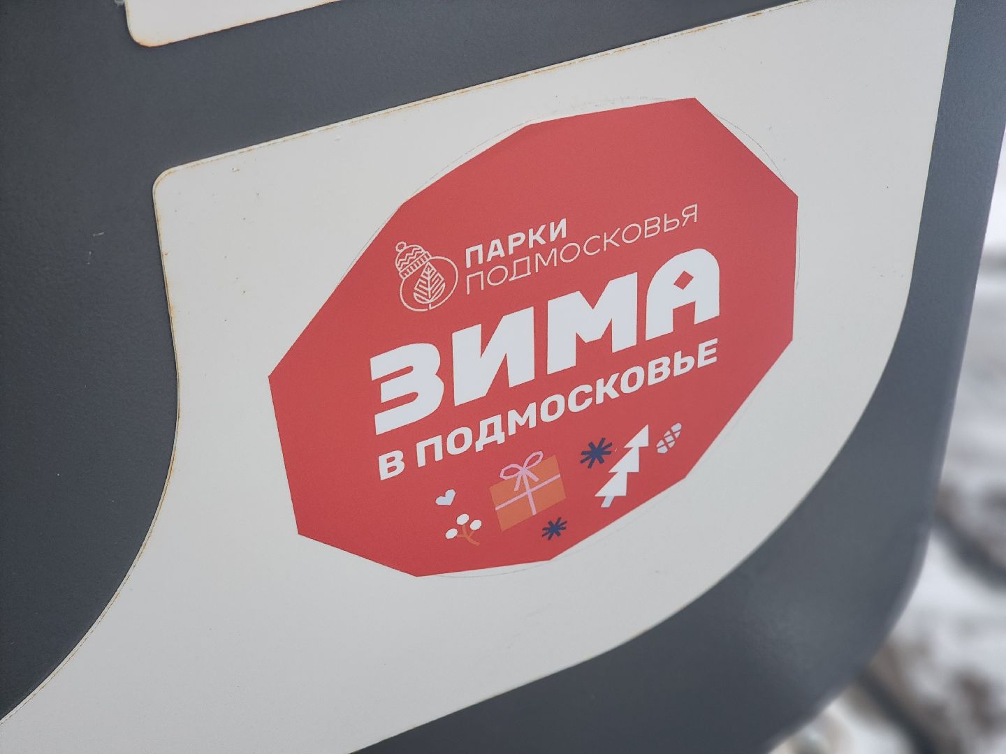 воскресенск, парк кривякино, утки,