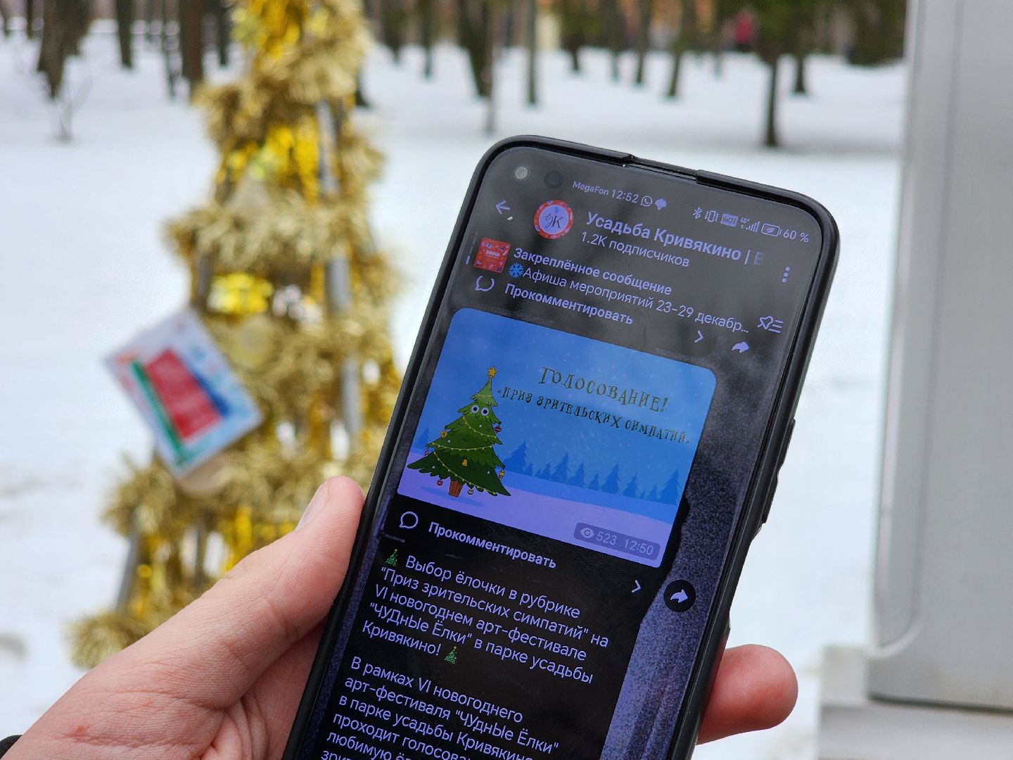 воскресенск, чудные елки, парк кривякино, вертикалки,