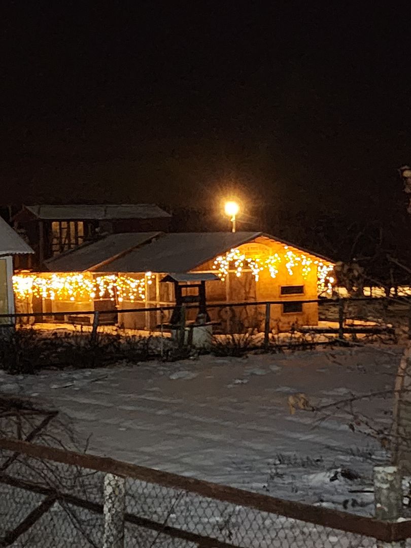 Зарайск, Рождество Христово, Рожново, вертикалки,