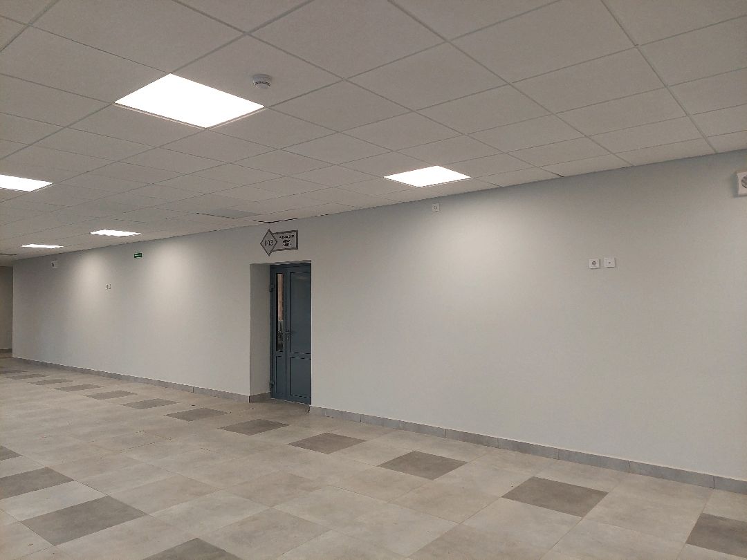 Воскресенск, общество