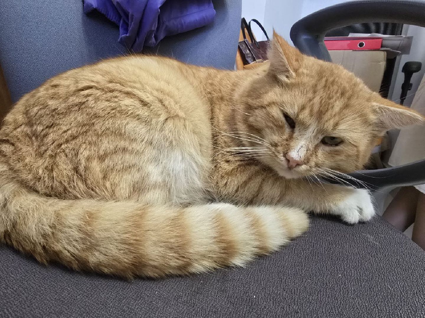 можайск, можайский городской округ, подмосковье, рождество христово, божественная литургия, праздник, новый год, сочельник, храм, служба, религия,