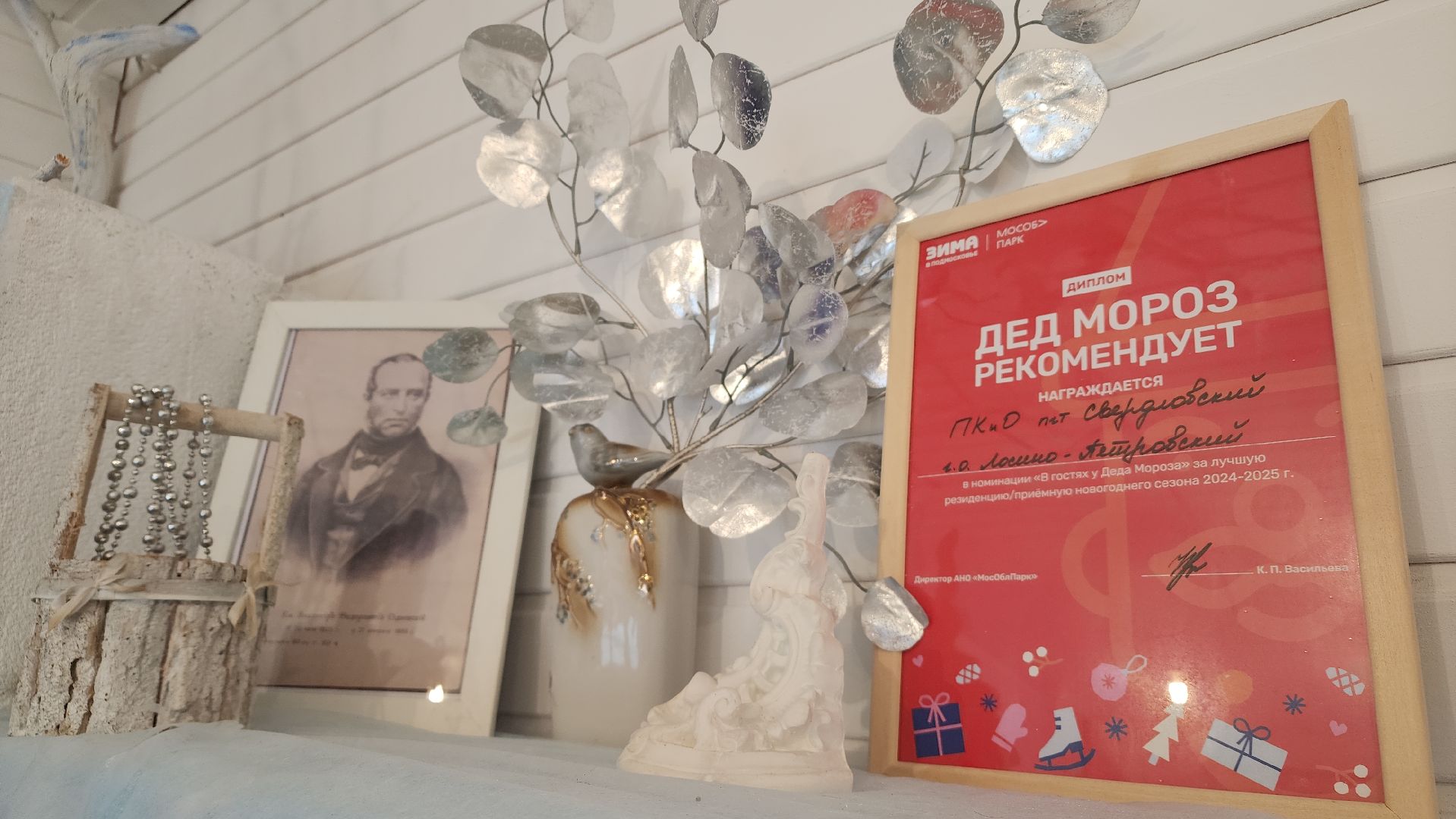 парки Подмосковья, Лосино-Петровский, мастер-класс, зима в подмосковье,