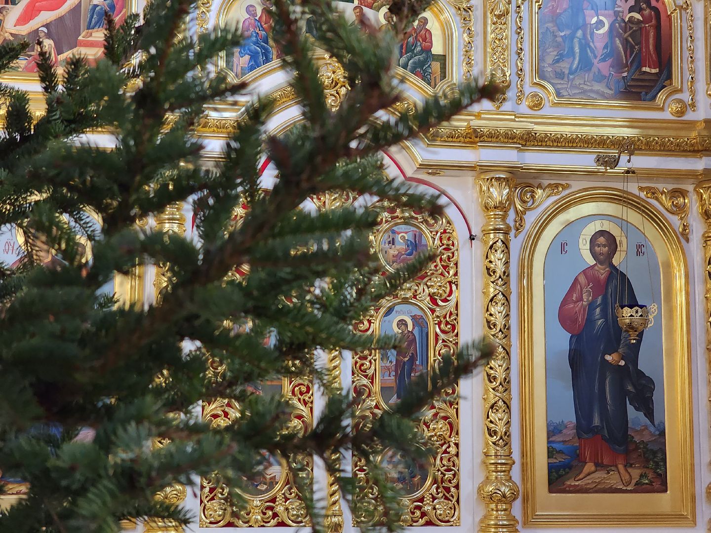 вертикалки, королёв,