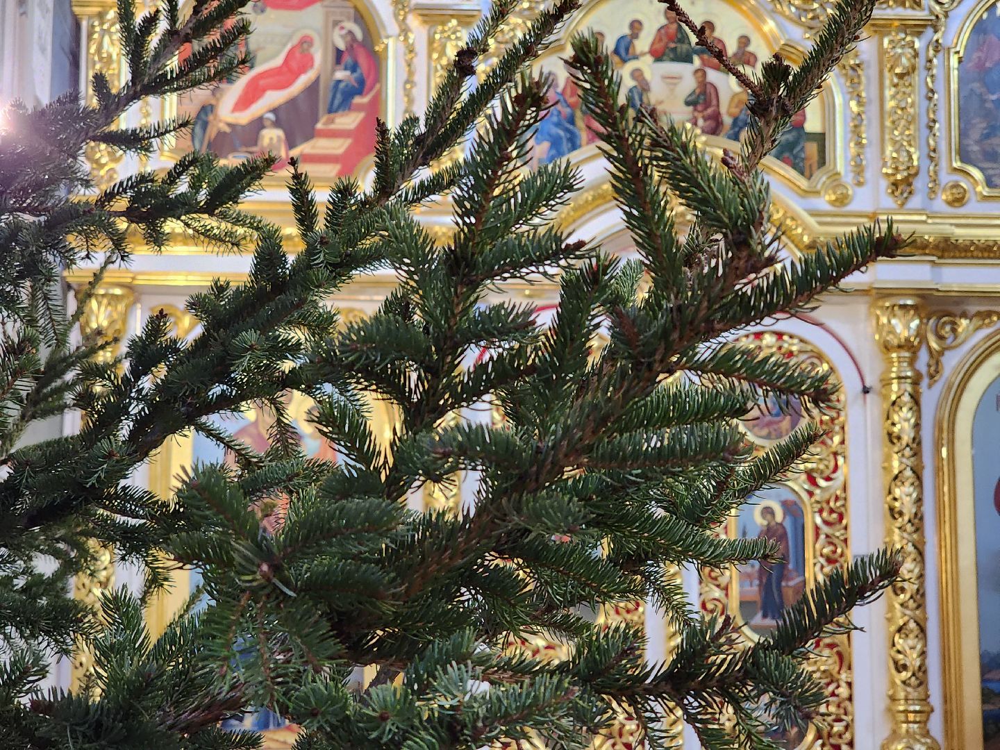 вертикалки, королёв,