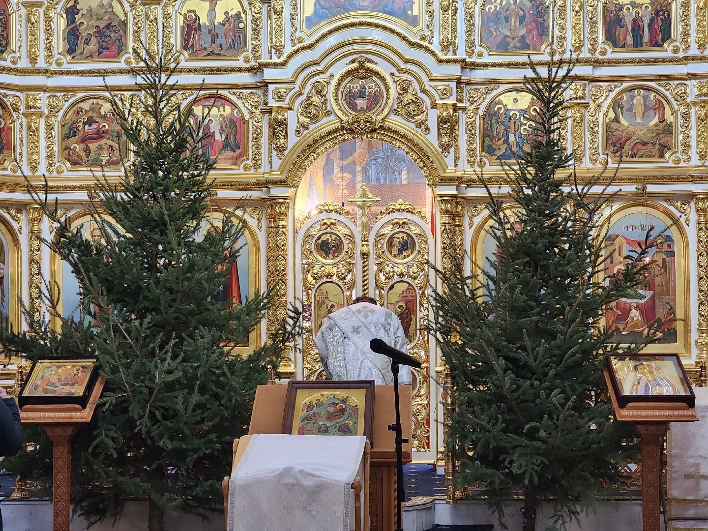 вертикалки, королёв,