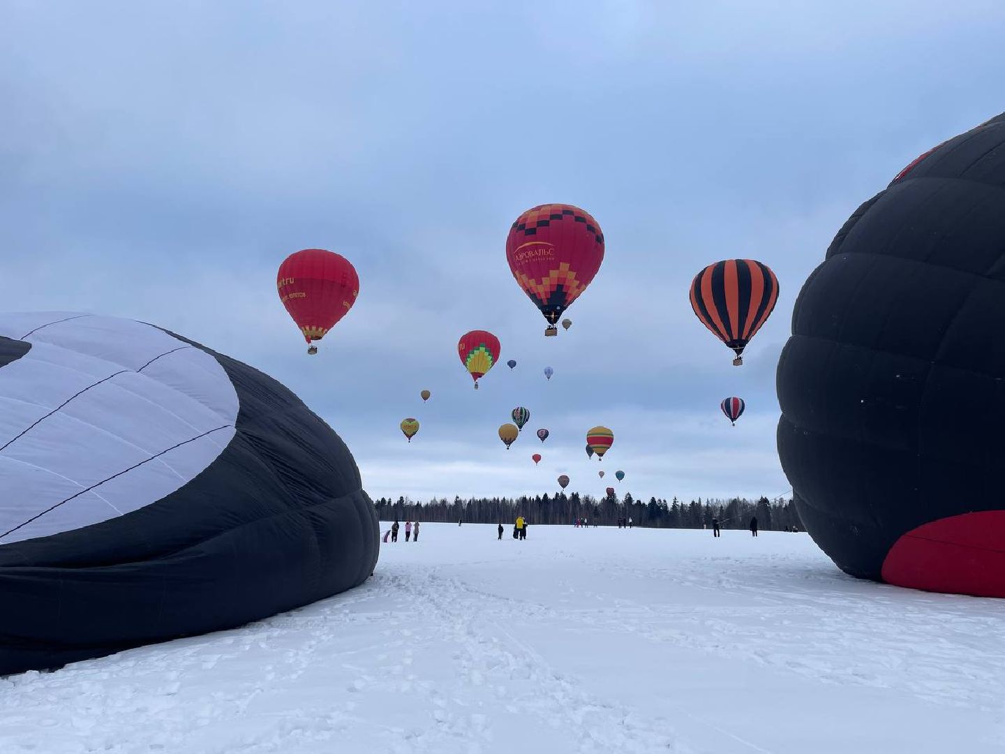 Дмитров, Фестиваль аэростатов, Яблоки на снегу, вертикалки,
