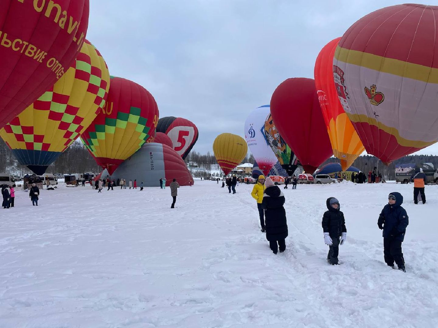 Дмитров, Фестиваль аэростатов, Яблоки на снегу, вертикалки,