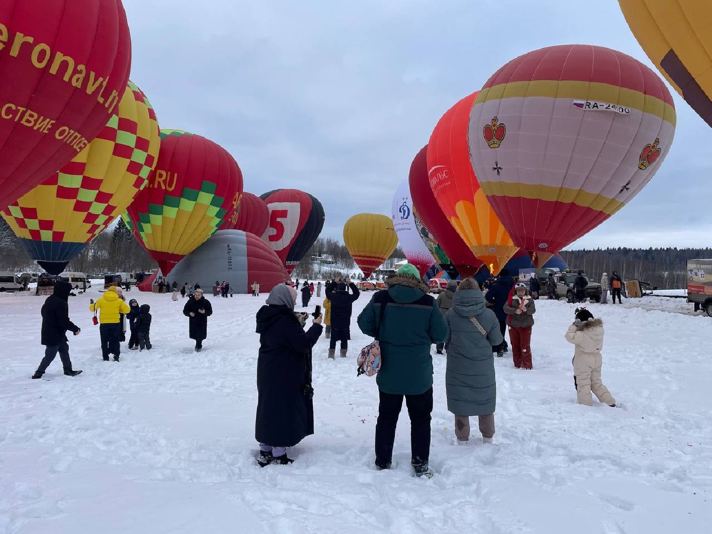 Дмитров, Фестиваль аэростатов, Яблоки на снегу, вертикалки,