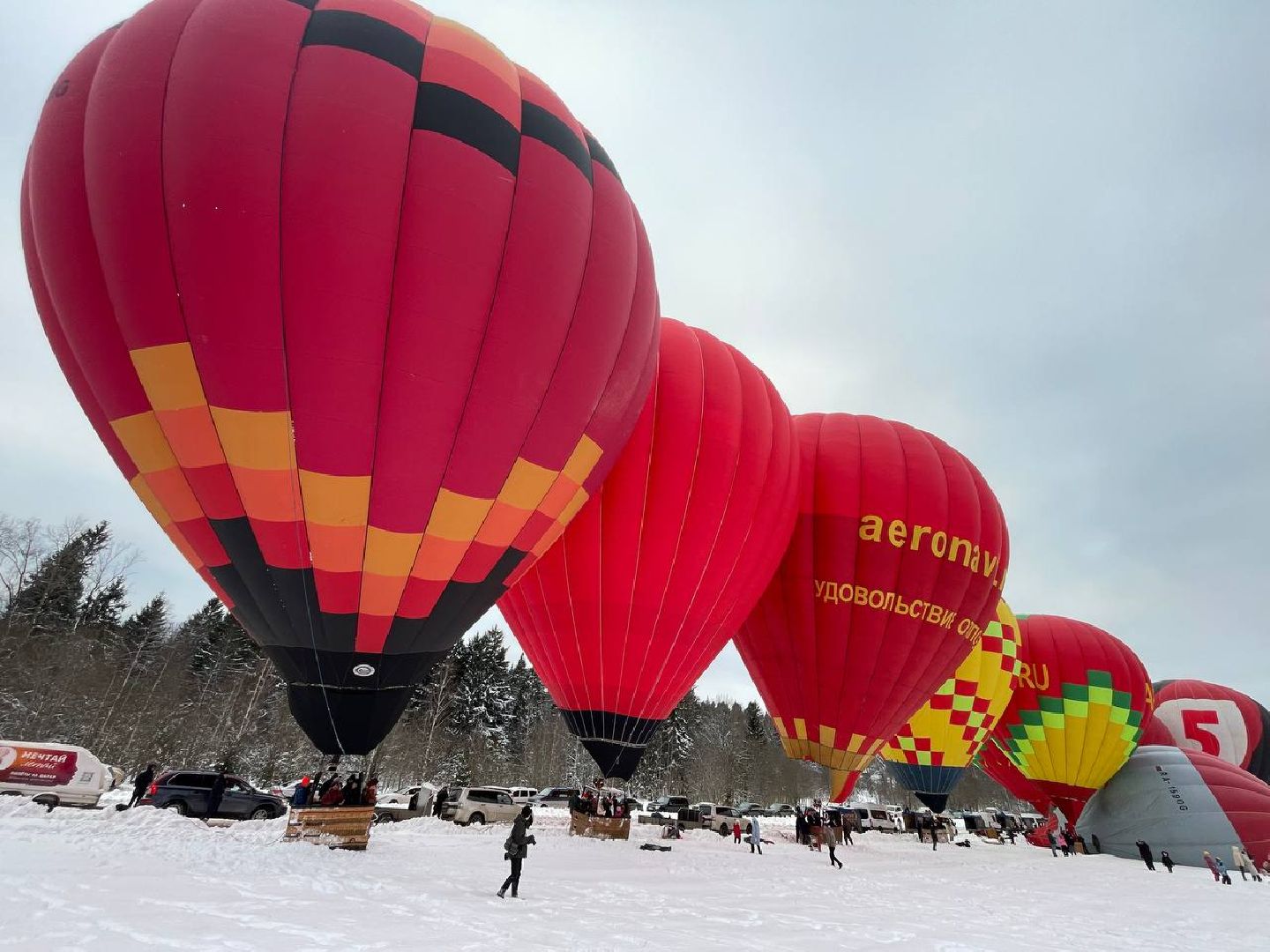 Дмитров, Фестиваль аэростатов, Яблоки на снегу, вертикалки,