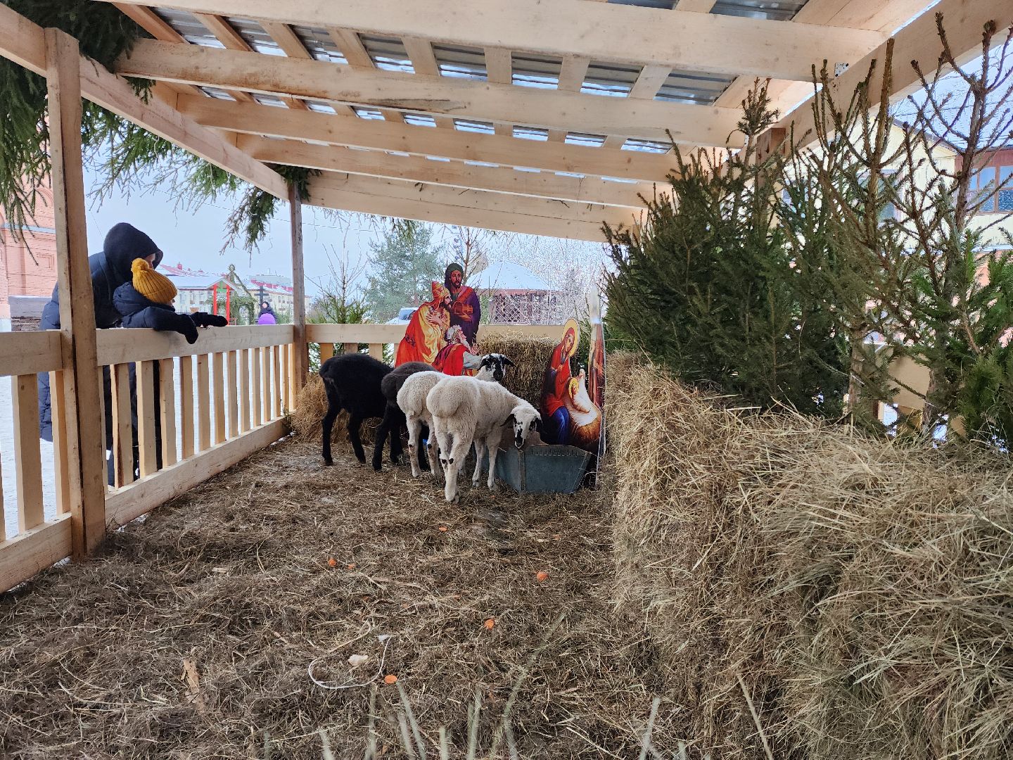 раменское, общество, религия, полготовка к Рождеству Христову в Свято-Троицком храме, вертикалки,