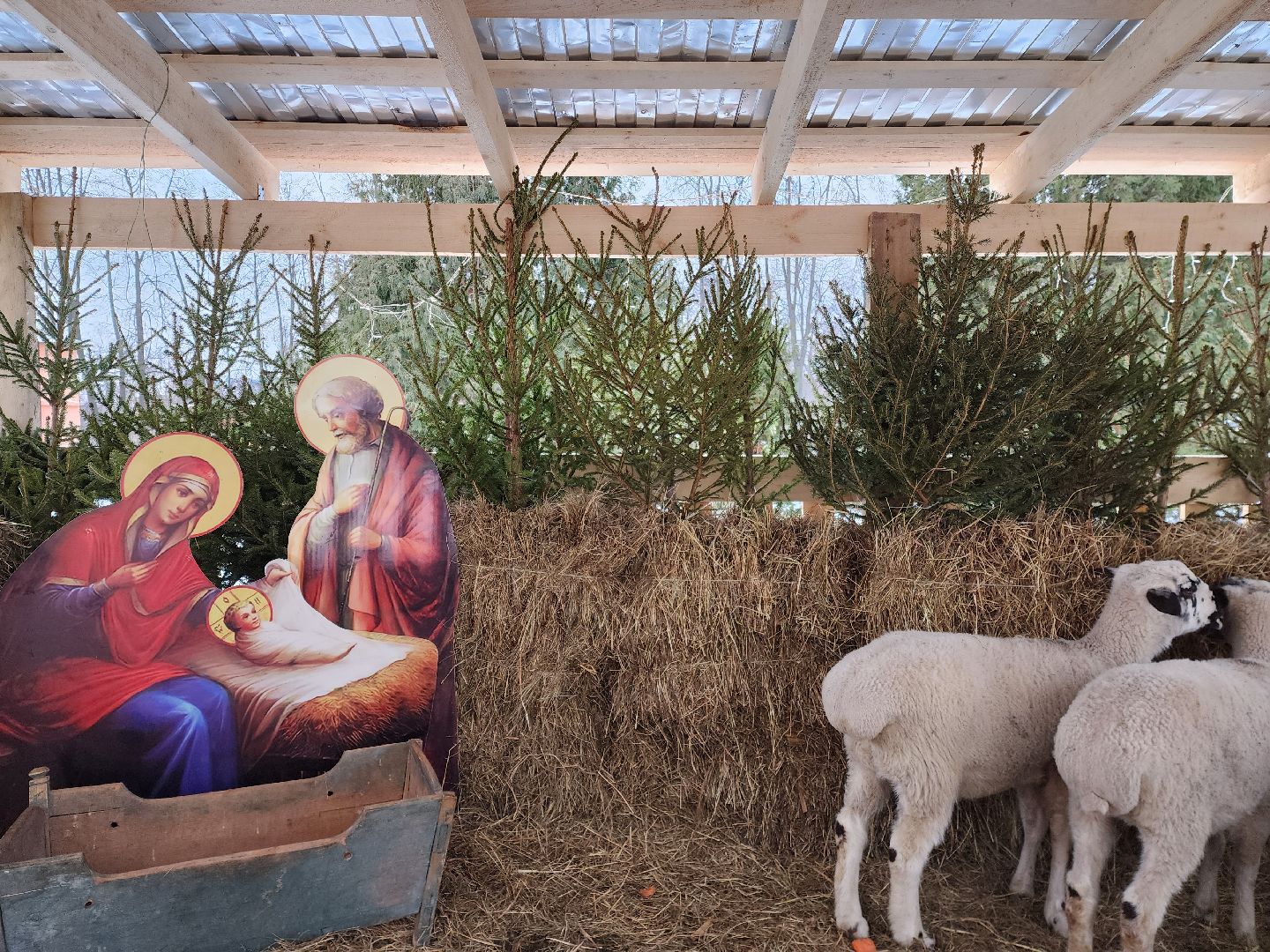 раменское, общество, религия, полготовка к Рождеству Христову в Свято-Троицком храме, вертикалки,
