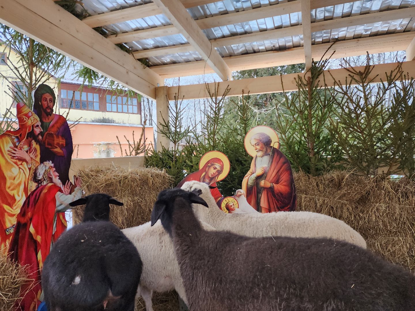 раменское, общество, религия, полготовка к Рождеству Христову в Свято-Троицком храме, вертикалки,