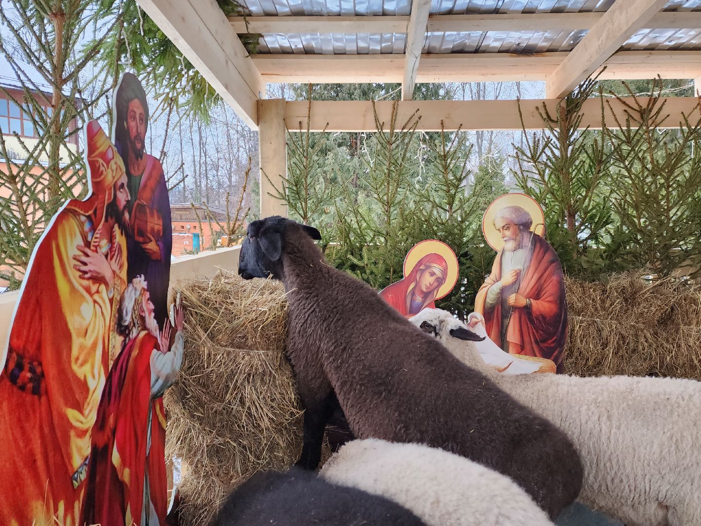 раменское, общество, религия, полготовка к Рождеству Христову в Свято-Троицком храме, вертикалки,