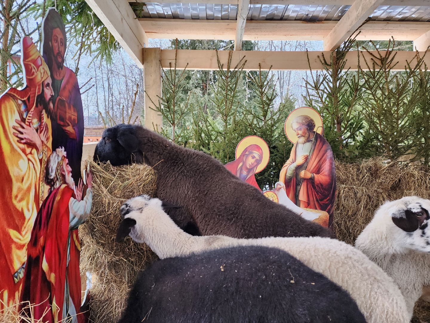 раменское, общество, религия, полготовка к Рождеству Христову в Свято-Троицком храме, вертикалки,