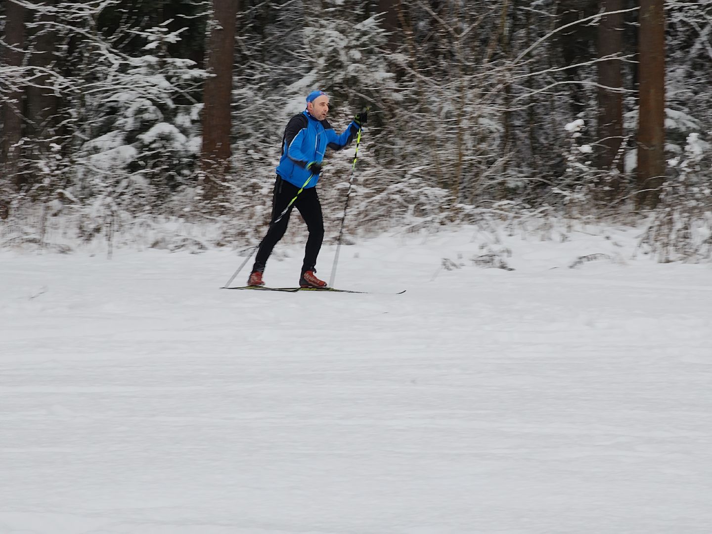 Егорьевск, Подмосковье, Московская область, лыжи, зима в подмосковье,ВЕРТИКАЛКи,