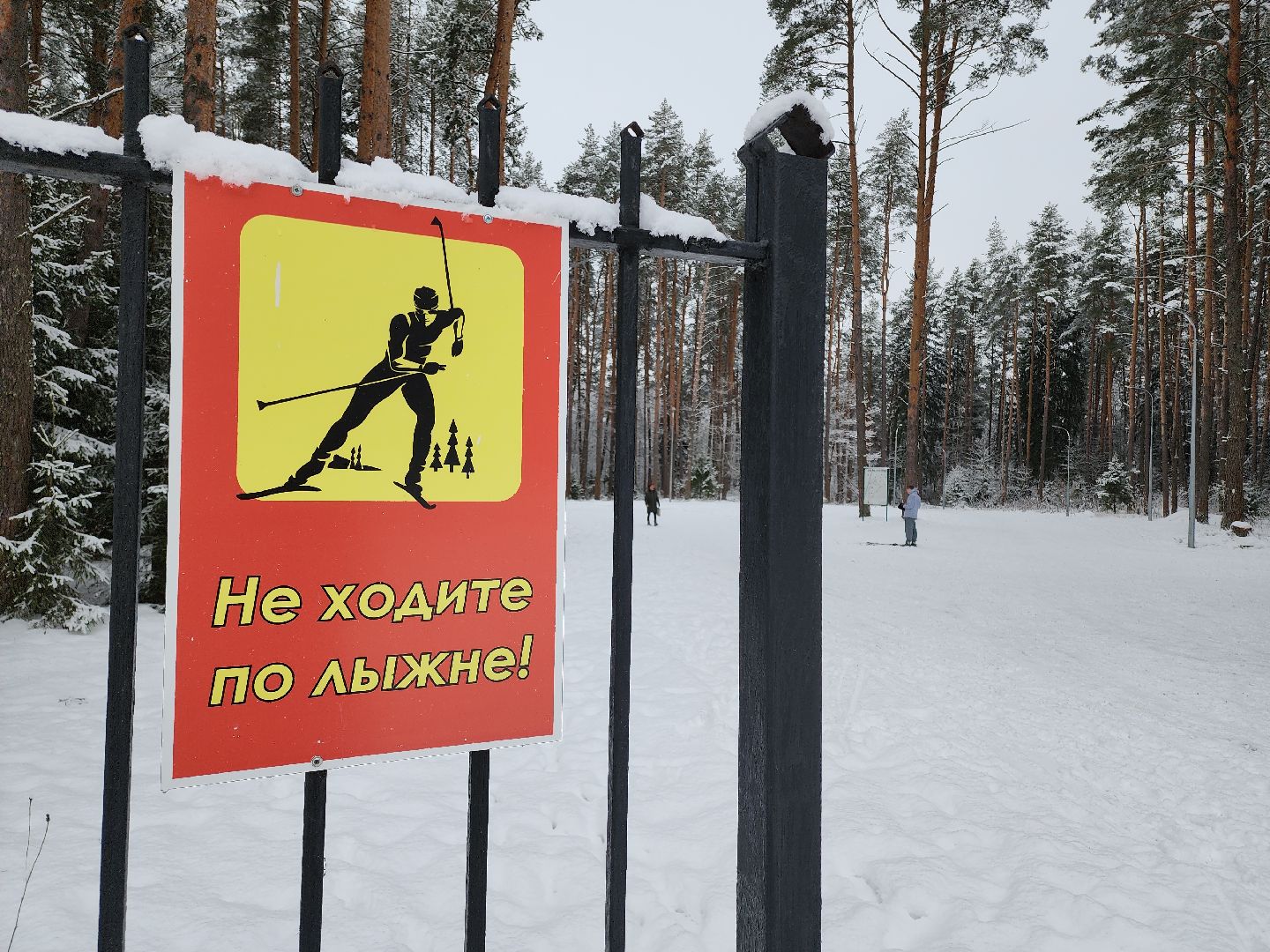 Егорьевск, Подмосковье, Московская область, лыжи, зима в подмосковье,ВЕРТИКАЛКи,