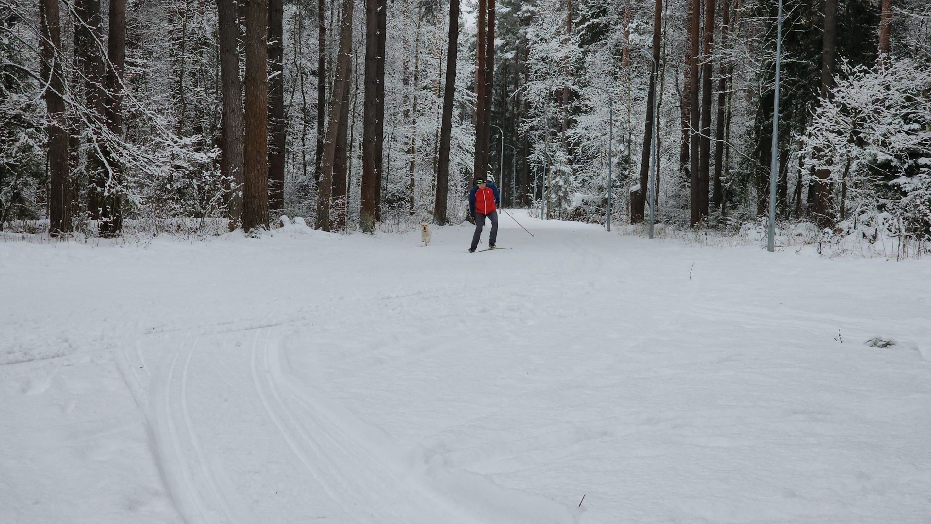 Егорьевск, Подмосковье, Московская область, лыжи, зима в подмосковье,ВЕРТИКАЛКи,
