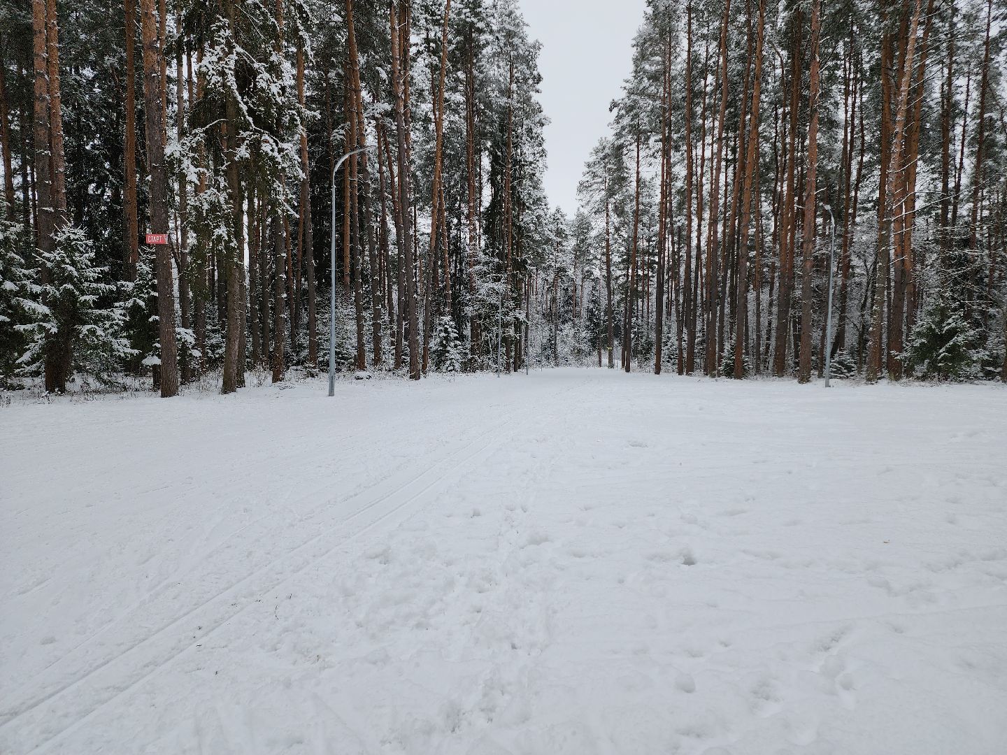 Егорьевск, Подмосковье, Московская область, лыжи, зима в подмосковье,ВЕРТИКАЛКи,
