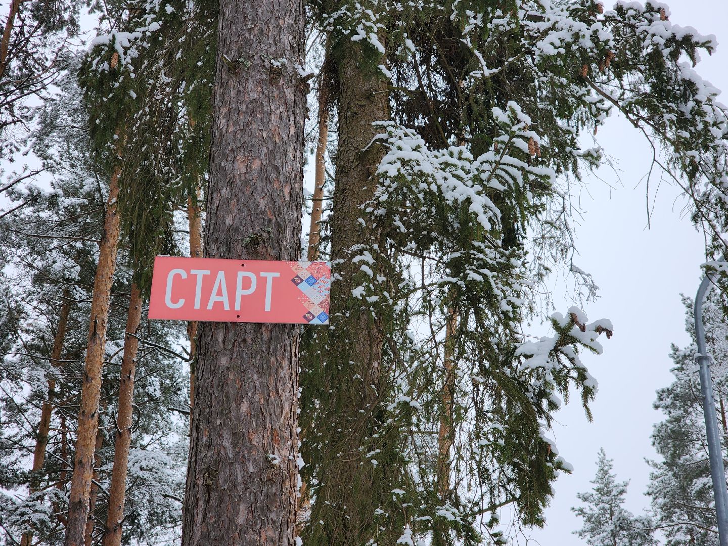 Егорьевск, Подмосковье, Московская область, лыжи, зима в подмосковье,ВЕРТИКАЛКи,