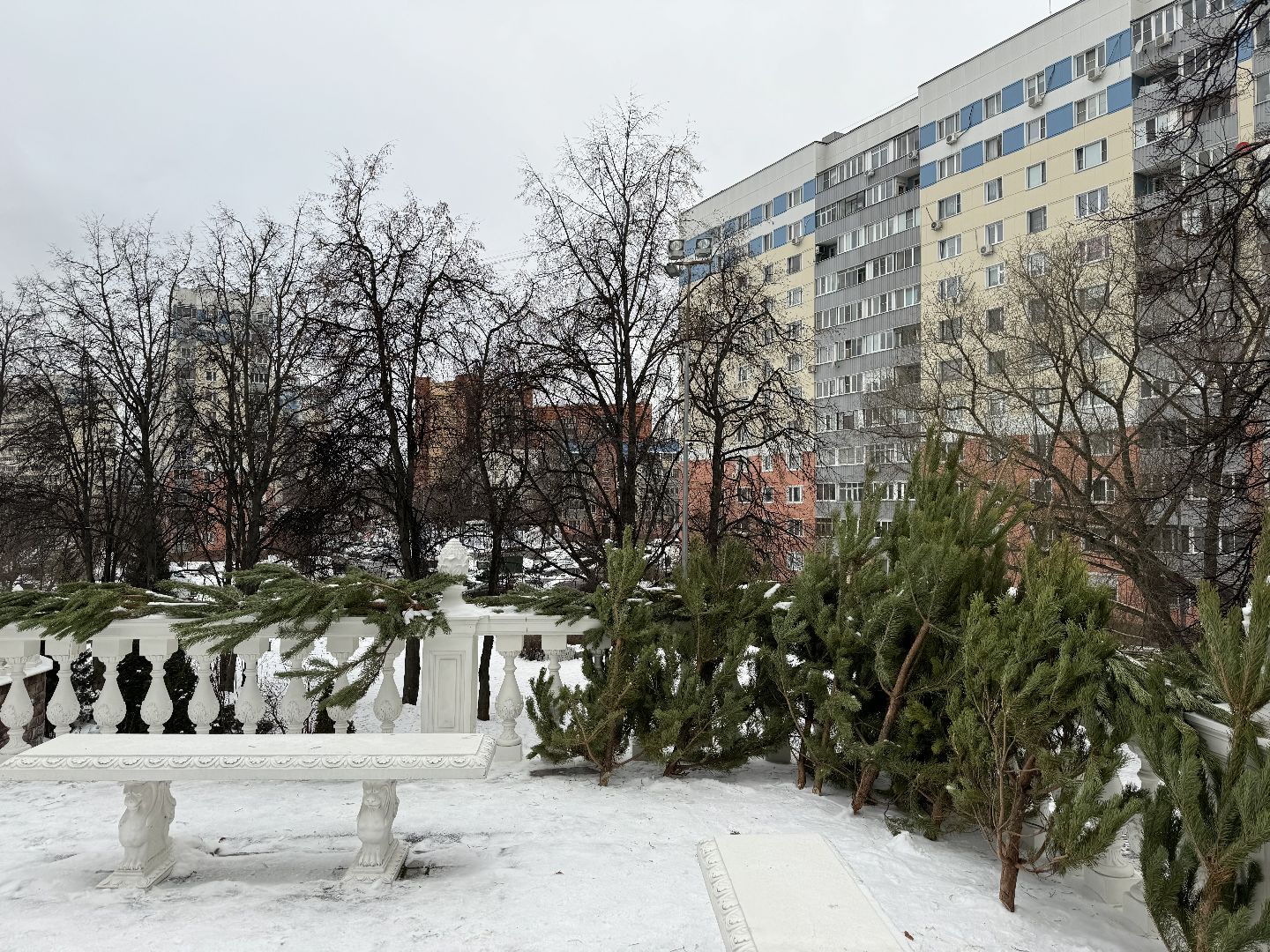 рождество христово, сочельник, Праздничное богослужение, Храм украшен, Храм великомученика Георгий Победоносца,
