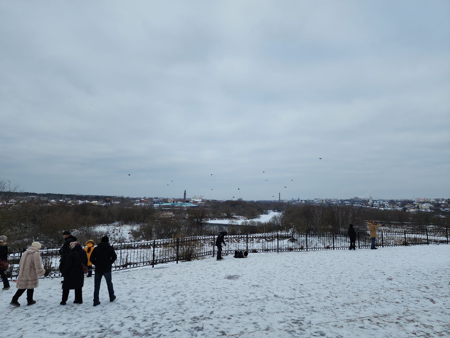 серпухов, подмосковье, высоцкий монастырь, рождество христово, православие, вертикалки,