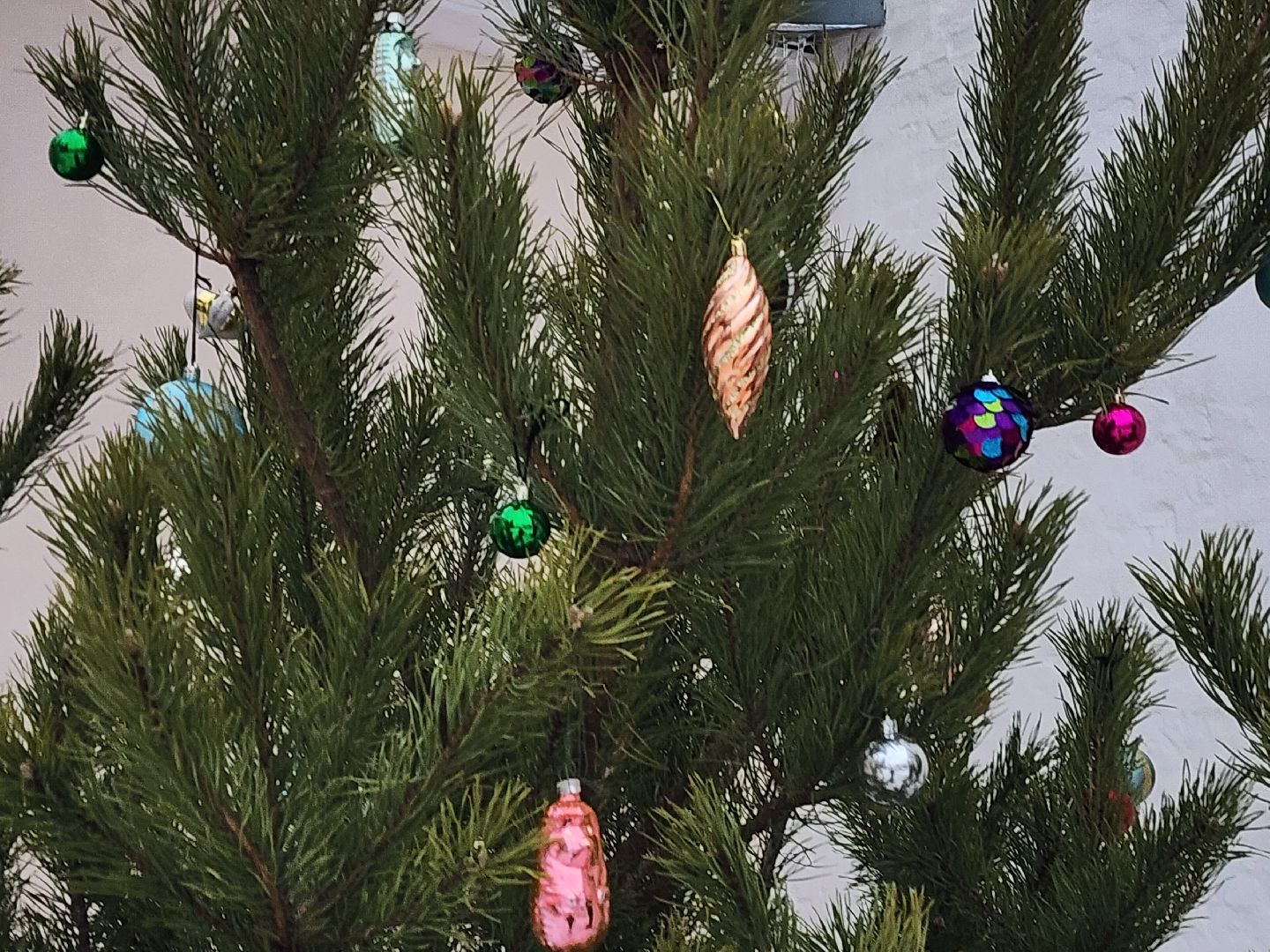 долгопрудный, сочельник, рождество христово, украшение храмов, ясли, вертикалки,