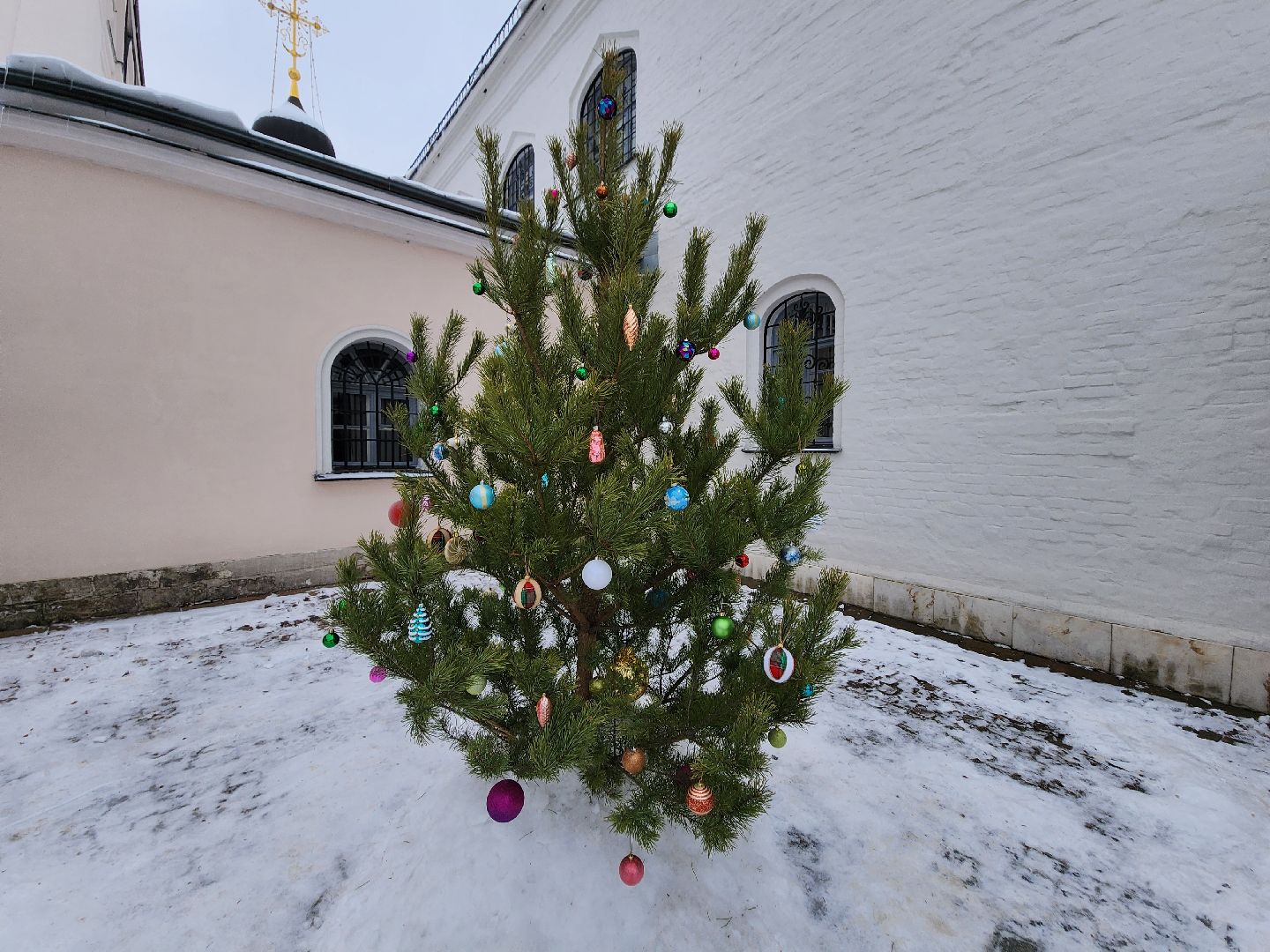 долгопрудный, сочельник, рождество христово, украшение храмов, ясли, вертикалки,