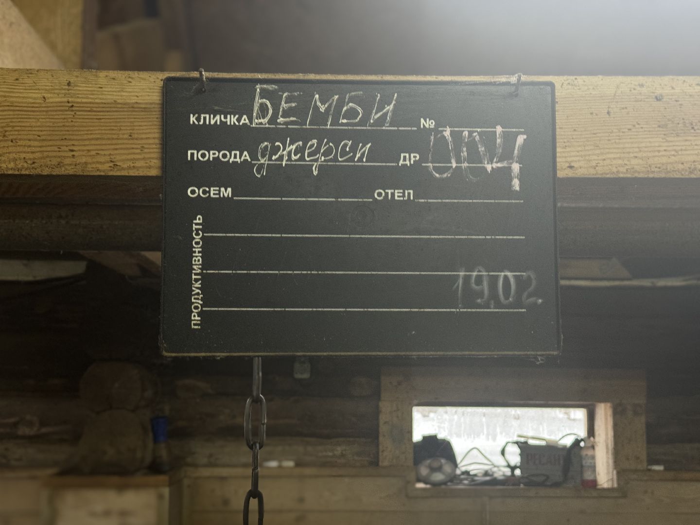 сельское хозяйство, ферма, Мастер-классы, Парк-отель Остров, домашние животные,