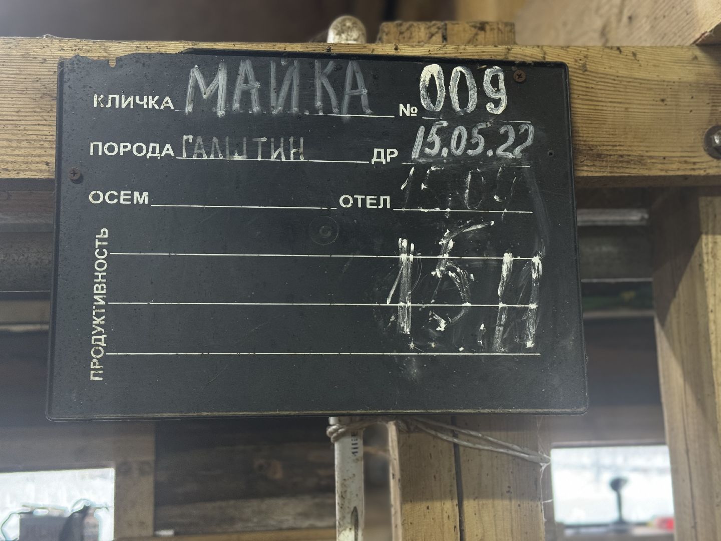 сельское хозяйство, ферма, Мастер-классы, Парк-отель Остров, домашние животные,