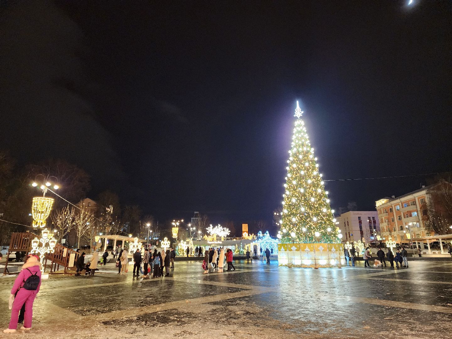 ногинск, жители, общество, новогодняя елка, голосование, елки России, новый год, фонтанная площадь,