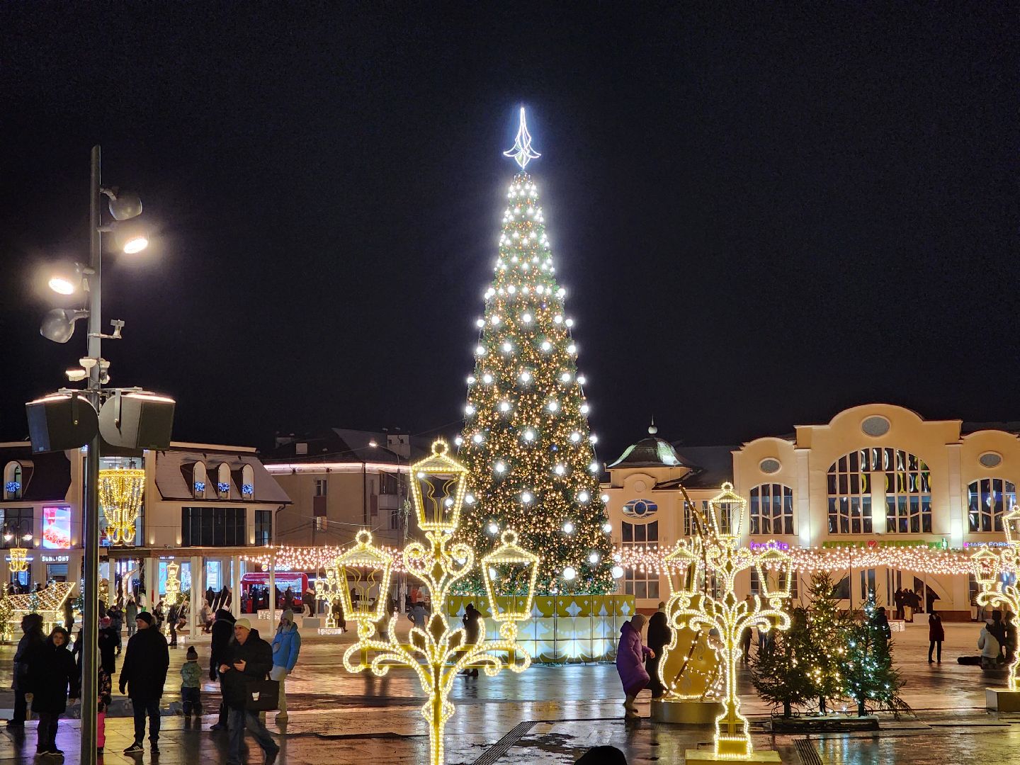 ногинск, жители, общество, новогодняя елка, голосование, елки России, новый год, фонтанная площадь,