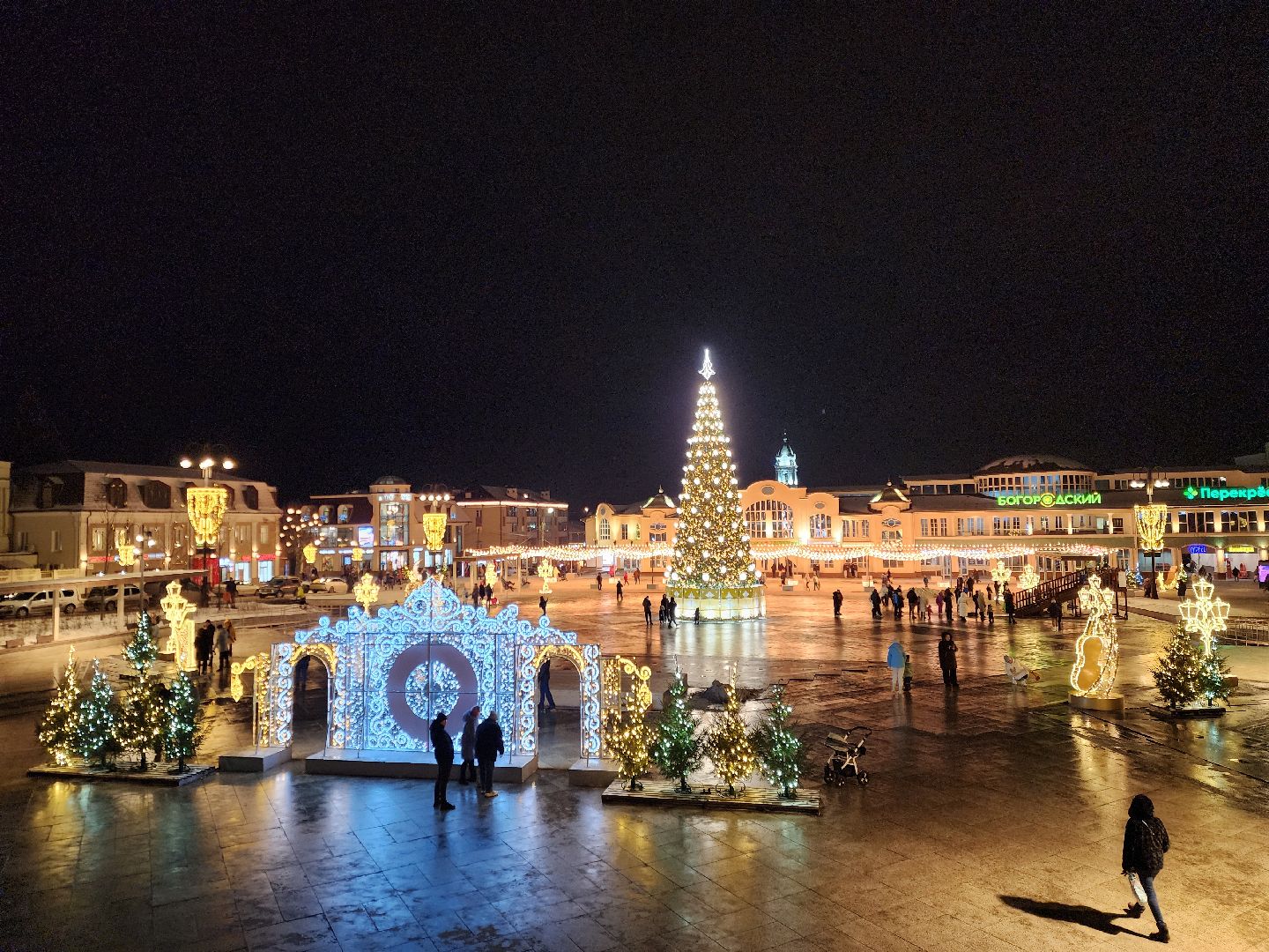 ногинск, жители, общество, новогодняя елка, голосование, елки России, новый год, фонтанная площадь,