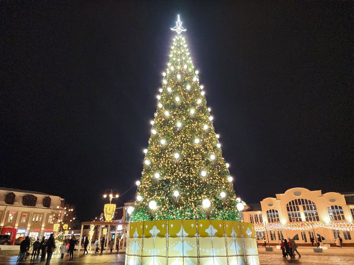 ногинск, жители, общество, новогодняя елка, голосование, елки России, новый год, фонтанная площадь,