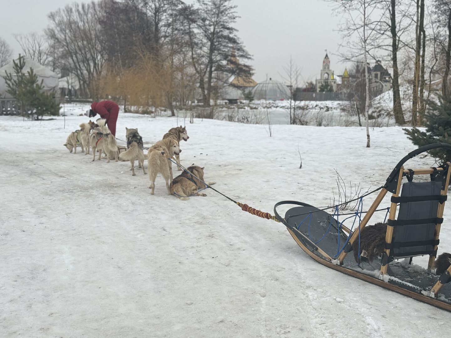 катание на собачьей упряжке, Хаски-парк, Снегоходы и вездезоды, парк-отель остров,Контактный зоопарк,