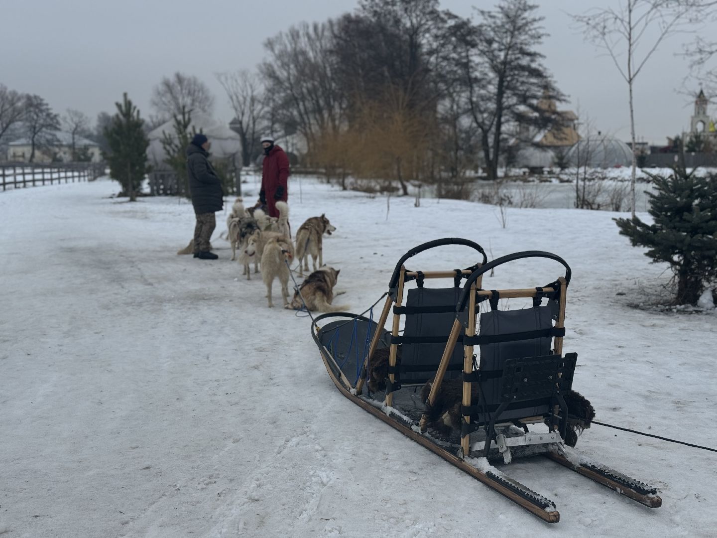 катание на собачьей упряжке, Хаски-парк, Снегоходы и вездезоды, парк-отель остров,Контактный зоопарк,