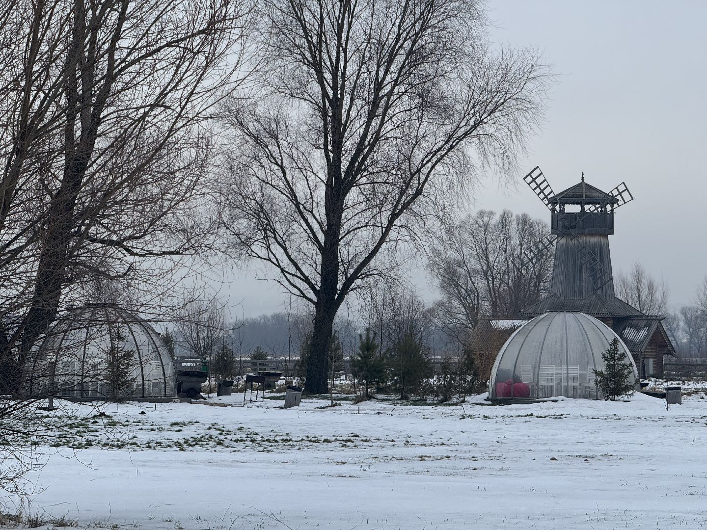 катание на собачьей упряжке, Хаски-парк, Снегоходы и вездезоды, парк-отель остров,Контактный зоопарк,