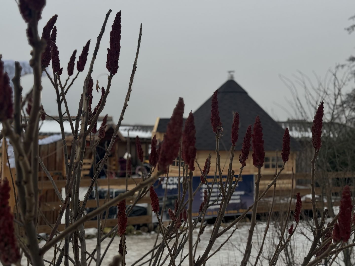 катание на собачьей упряжке, Хаски-парк, Снегоходы и вездезоды, парк-отель остров,Контактный зоопарк,