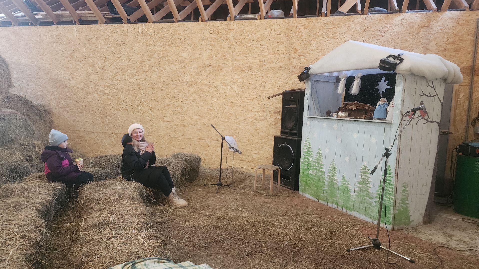 вертикалки, пушкино, экоферма, дети, животные, мини-зоопарк с животными, рождественская сказка, рождество христово, вертеп, кукольный театр, ангел, мастер-класс,