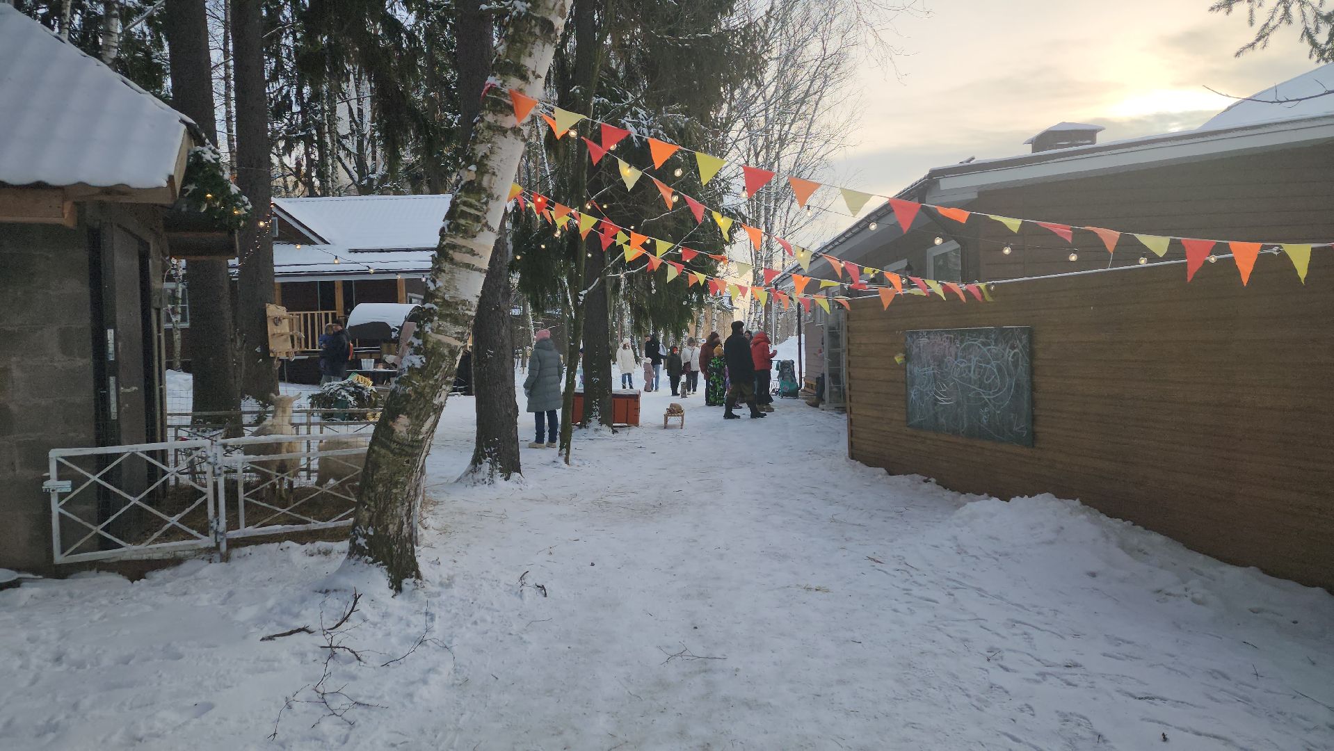 вертикалки, пушкино, экоферма, дети, животные, мини-зоопарк с животными, рождественская сказка, рождество христово, вертеп, кукольный театр, ангел, мастер-класс,