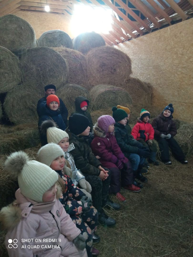 вертикалки, пушкино, экоферма, дети, животные, мини-зоопарк с животными, рождественская сказка, рождество христово, вертеп, кукольный театр, ангел, мастер-класс,