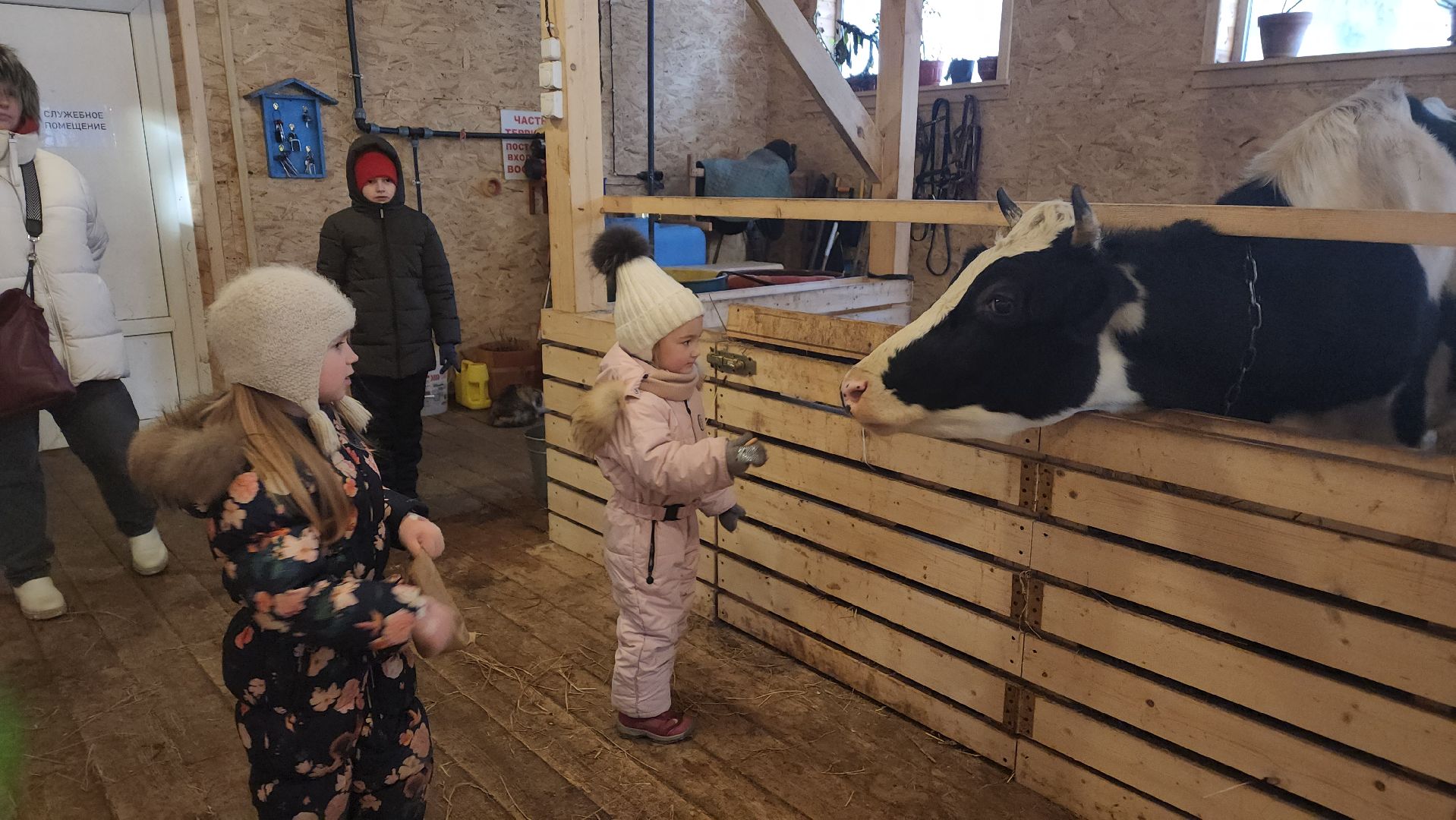 вертикалки, пушкино, экоферма, дети, животные, мини-зоопарк с животными, рождественская сказка, рождество христово, вертеп, кукольный театр, ангел, мастер-класс,