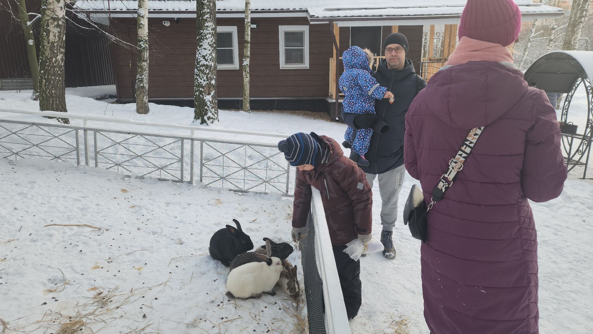 вертикалки, пушкино, экоферма, дети, животные, мини-зоопарк с животными, рождественская сказка, рождество христово, вертеп, кукольный театр, ангел, мастер-класс,