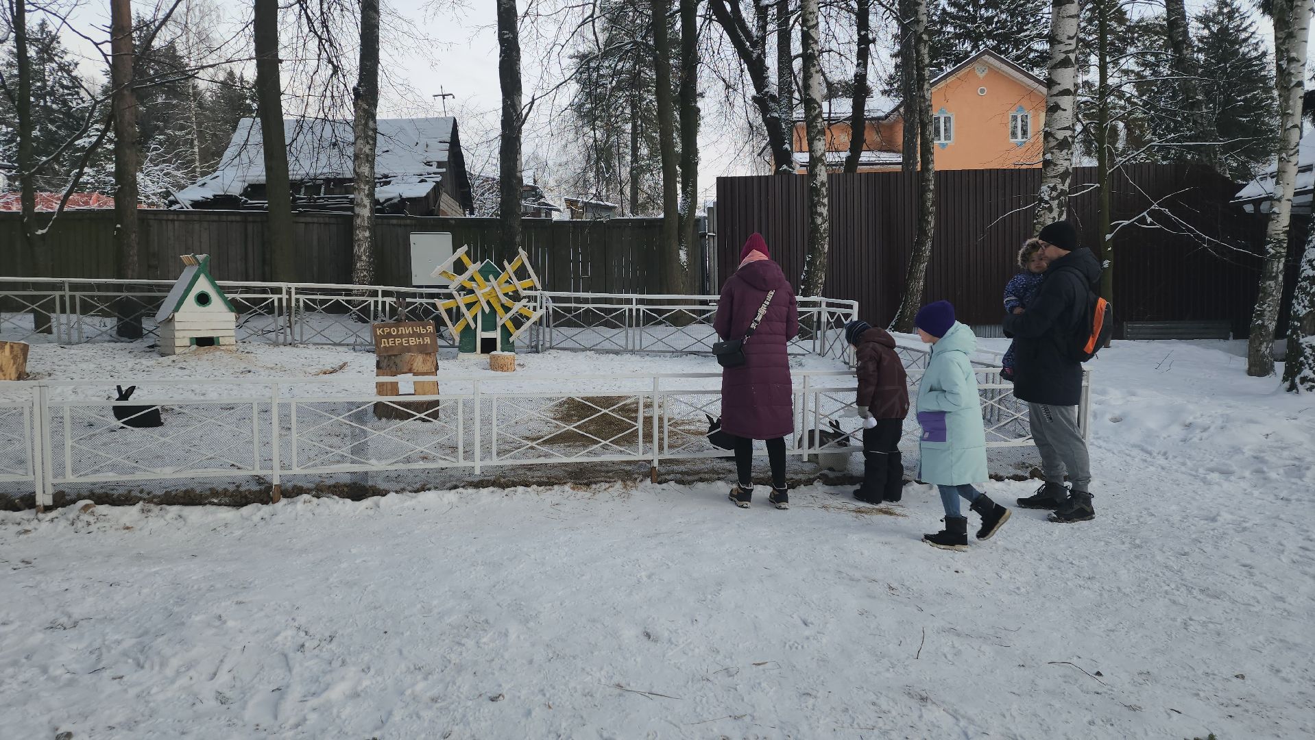 вертикалки, пушкино, экоферма, дети, животные, мини-зоопарк с животными, рождественская сказка, рождество христово, вертеп, кукольный театр, ангел, мастер-класс,