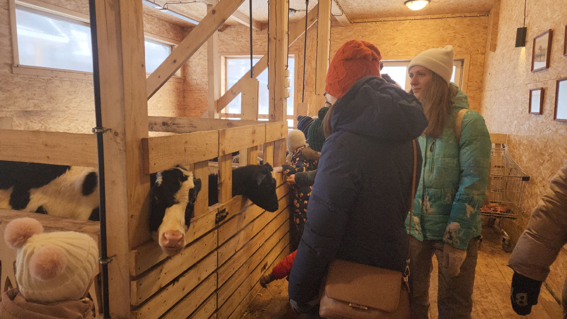 вертикалки, пушкино, экоферма, дети, животные, мини-зоопарк с животными, рождественская сказка, рождество христово, вертеп, кукольный театр, ангел, мастер-класс,