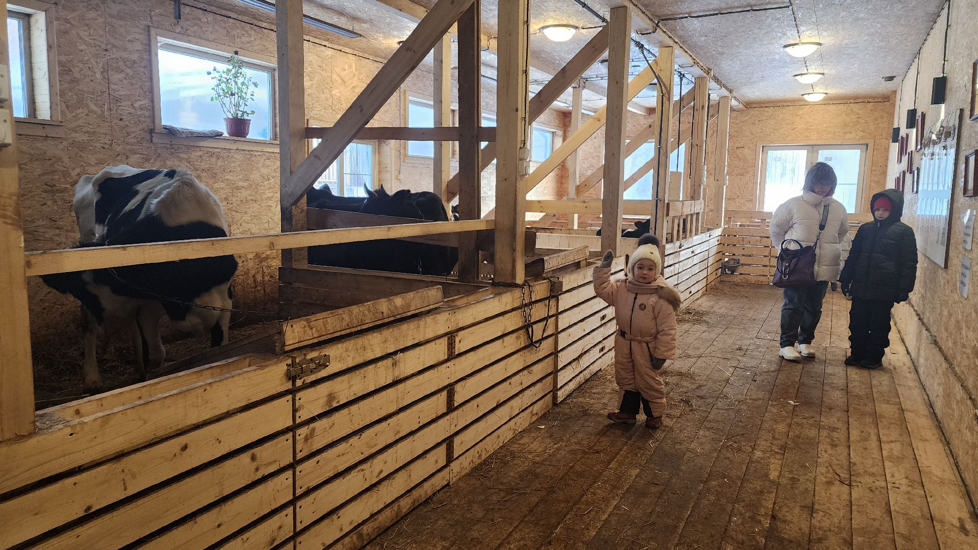 вертикалки, пушкино, экоферма, дети, животные, мини-зоопарк с животными, рождественская сказка, рождество христово, вертеп, кукольный театр, ангел, мастер-класс,