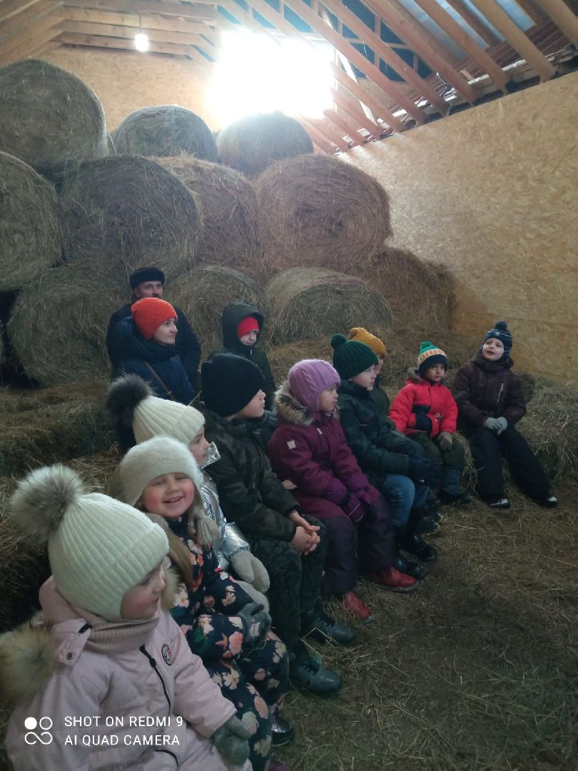 вертикалки, пушкино, экоферма, дети, животные, мини-зоопарк с животными, рождественская сказка, рождество христово, вертеп, кукольный театр, ангел, мастер-класс,