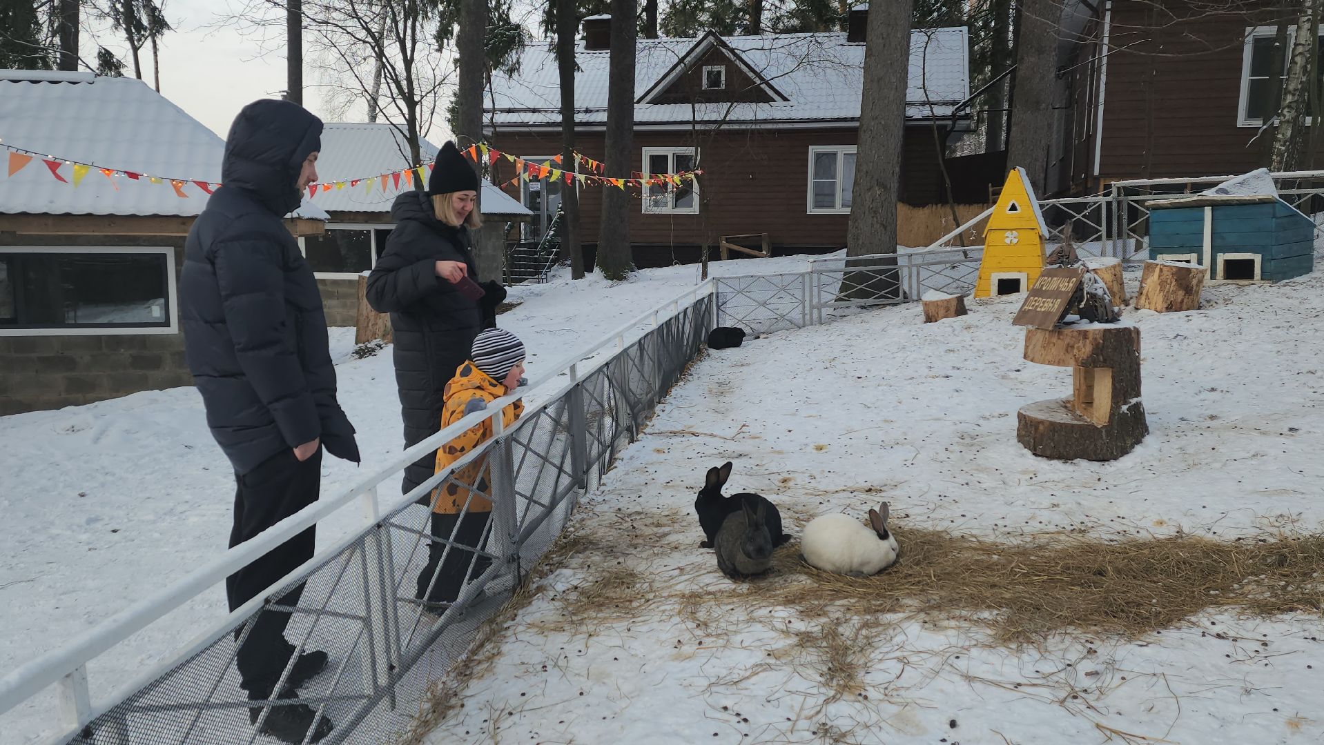 вертикалки, пушкино, экоферма, дети, животные, мини-зоопарк с животными, рождественская сказка, рождество христово, вертеп, кукольный театр, ангел, мастер-класс,