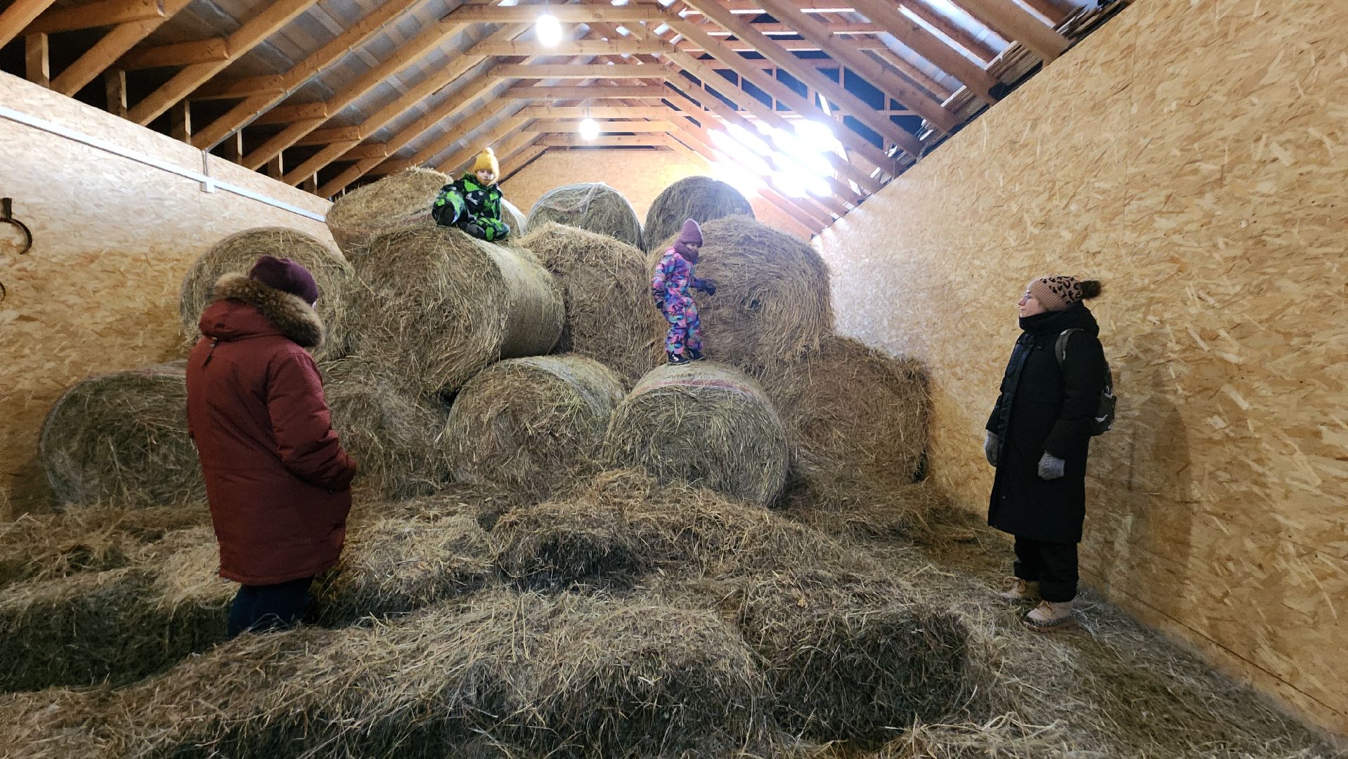 вертикалки, пушкино, экоферма, дети, животные, мини-зоопарк с животными, рождественская сказка, рождество христово, вертеп, кукольный театр, ангел, мастер-класс,