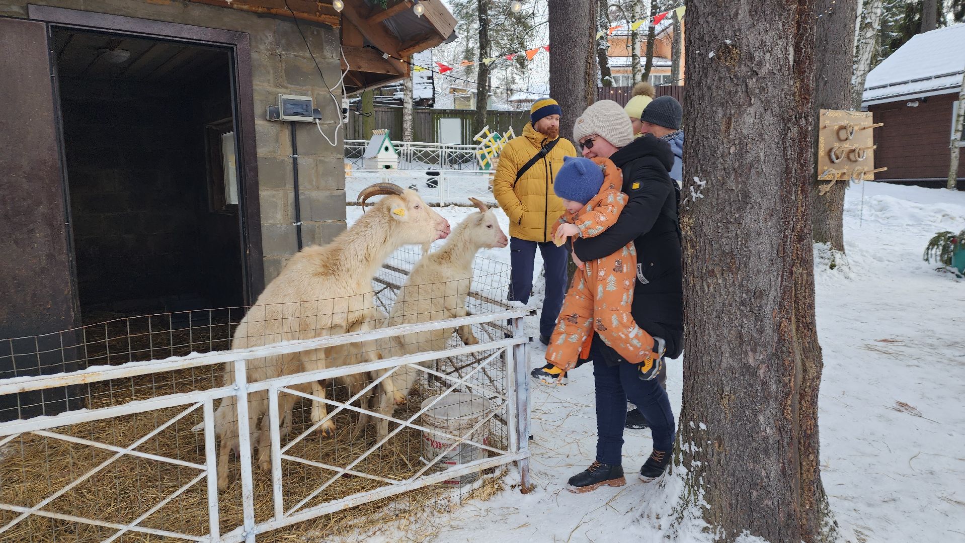 вертикалки, пушкино, экоферма, дети, животные, мини-зоопарк с животными, рождественская сказка, рождество христово, вертеп, кукольный театр, ангел, мастер-класс,