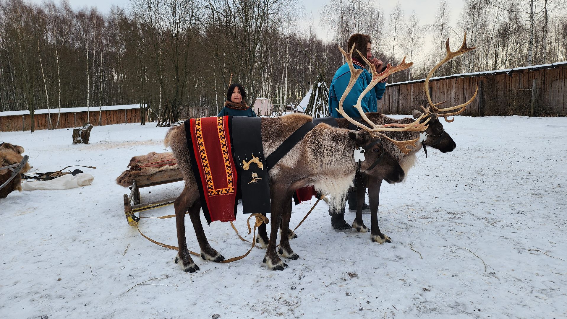 кашира, фестиваль севера, олени, кочевники, фольклор,